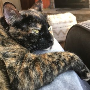 Meet your Posher, Elizabeth